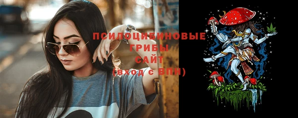 mdpv Богданович