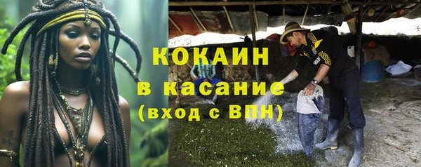 ПСИЛОЦИБИНОВЫЕ ГРИБЫ Богородицк