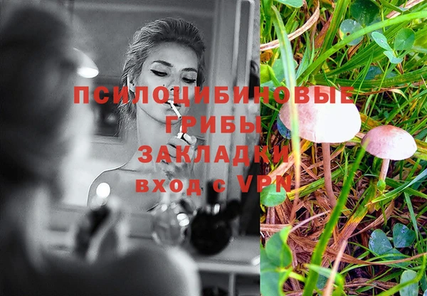 mdpv Богданович