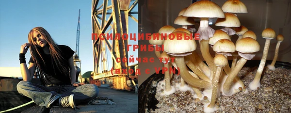 Альфа ПВП Богородск
