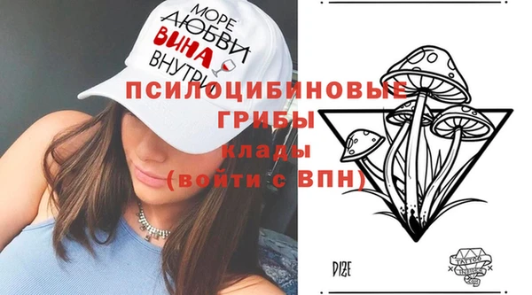 Альфа ПВП Богородск