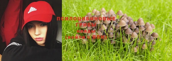 mdpv Богданович